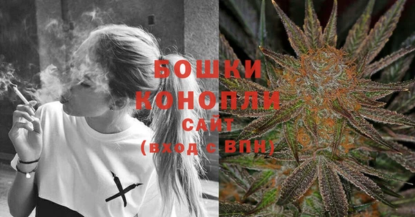 стаф Горнозаводск