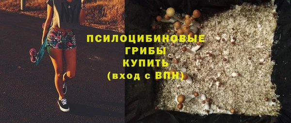 стаф Горнозаводск