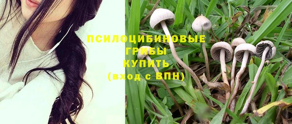 марки nbome Горняк