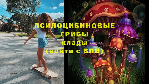 марки nbome Горняк