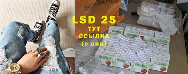 стаф Горнозаводск