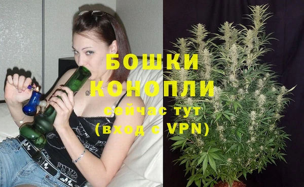 марки nbome Горняк